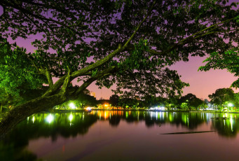 Картинка города -+огни+ночного+города водоем деревья фонари ночь