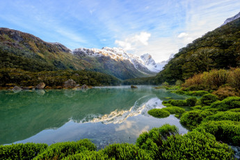 Картинка новая+зеландия природа реки озера водоем растения отражение горы