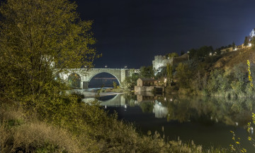Картинка города -+мосты трава деревья водоем здания фонари ночь