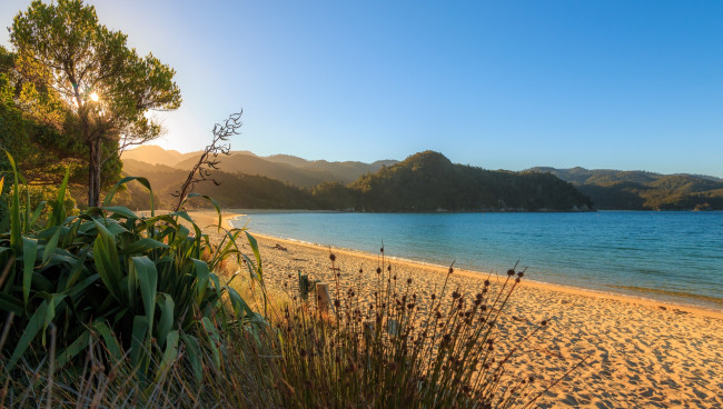 Обои картинки фото новая зеландия, природа, побережье, растения, деревья, берег, песок, холмы, водоем