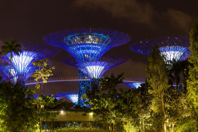 Обои картинки фото города, сингапур , сингапур, ночные, огни, singapore, night, lights