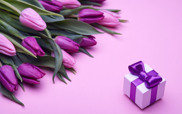 обоя праздничные, подарки и коробочки, fresh, розовые, love, бант, romantic, pink, тюльпаны, tulips, gift, purple, букет, flowers