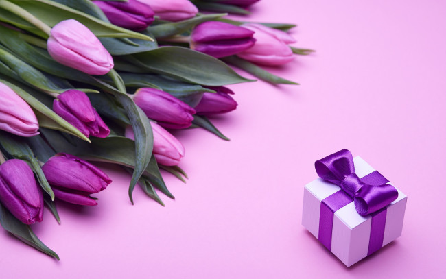 Обои картинки фото праздничные, подарки и коробочки, fresh, розовые, love, бант, romantic, pink, тюльпаны, tulips, gift, purple, букет, flowers