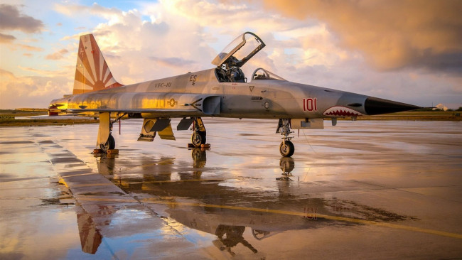 Обои картинки фото авиация, боевые самолёты, northrop, f-5n, tiger