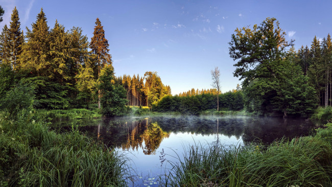 Обои картинки фото природа, реки, озера, осень, пруд, туман