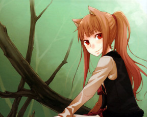 Картинка аниме spice and wolf