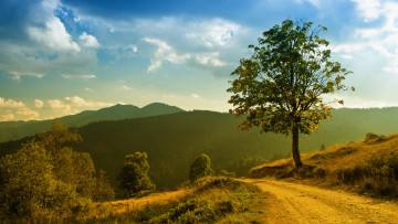 Картинка природа дороги дерево горы