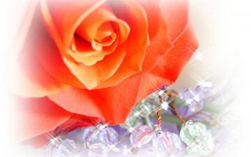 Картинка цветы розы украшения блики