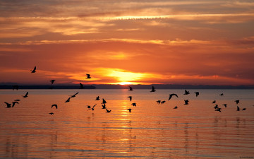 Картинка природа восходы закаты озеро закат