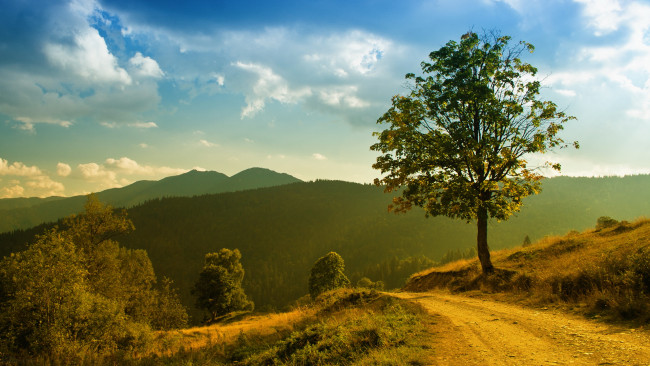 Обои картинки фото природа, дороги, дерево, горы