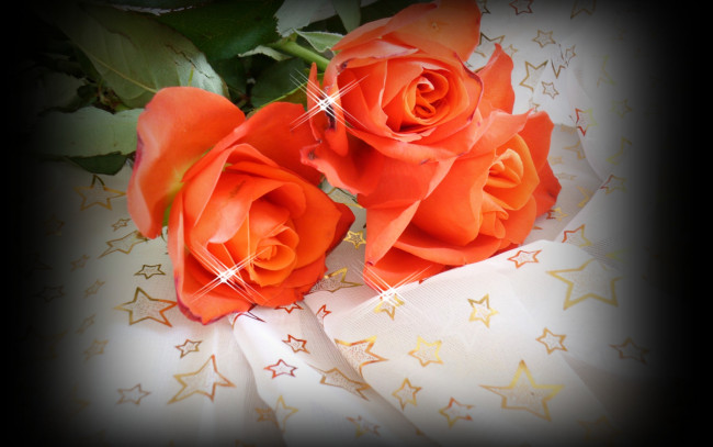 Обои картинки фото цветы, розы, оранжевые, звездочки
