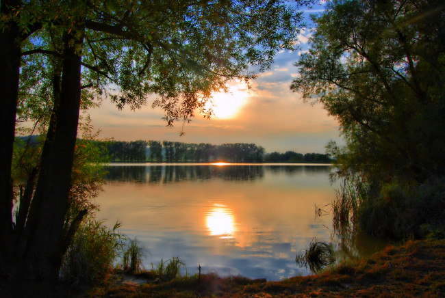 Обои картинки фото природа, восходы, закаты, вечер, отражение, деревья, вода, солнце