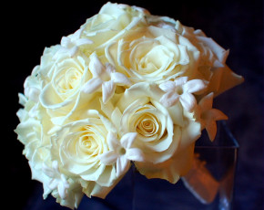 Картинка цветы букеты композиции кремовый стефанотис розы