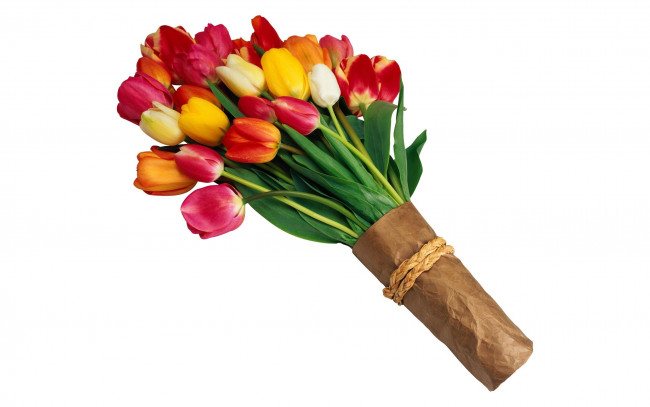 Обои картинки фото цветы, тюльпаны, упаковка