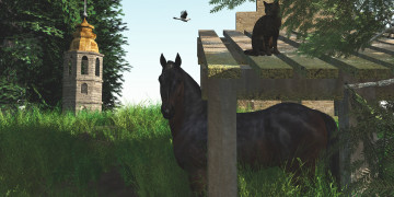 Картинка 3д+графика животные+ animals лошадь кот