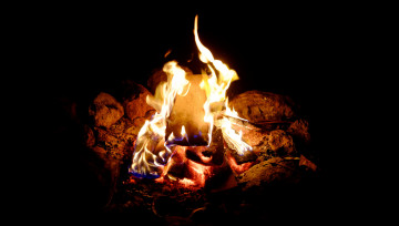 Картинка природа огонь костёр дрова ночь