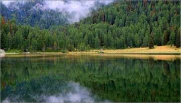 Картинка природа реки озера озеро лес деревья отражение