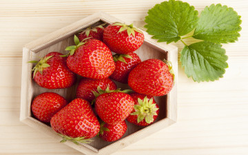Картинка еда клубника +земляника red sweet berries fresh красная спелая ягоды strawberry