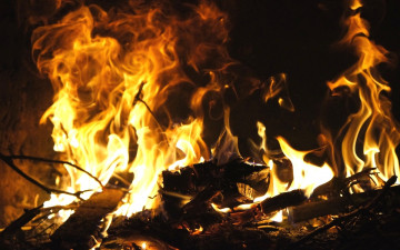 Картинка природа огонь костер пламя ветки
