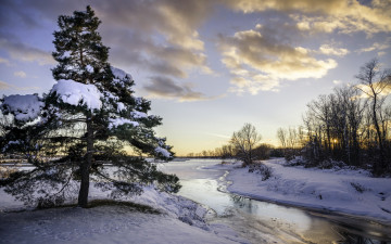 Картинка природа зима река дерево снег