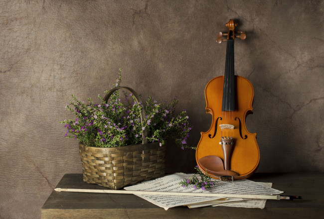 Обои картинки фото музыка, -музыкальные инструменты, скрипка, ноты, корзина, цветы