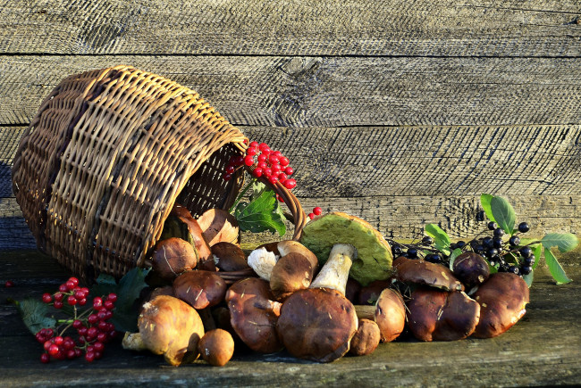 Обои картинки фото еда, грибы,  грибные блюда, карзина, натюрморт, калина, ягоды