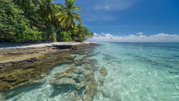 Картинка природа тропики остров океан