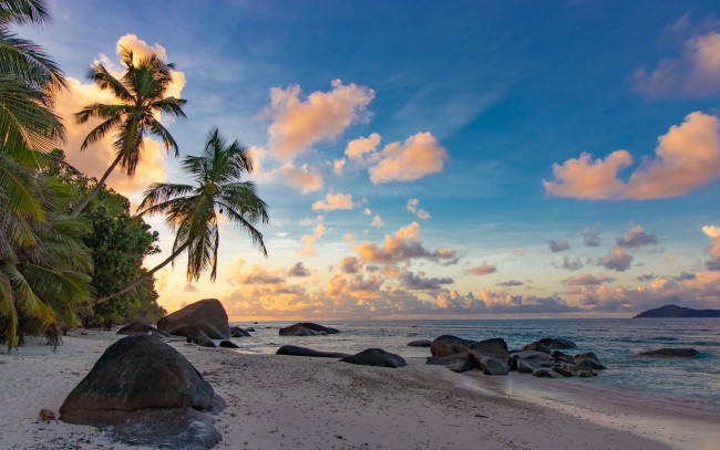Обои картинки фото природа, тропики, море, камни, пальмы