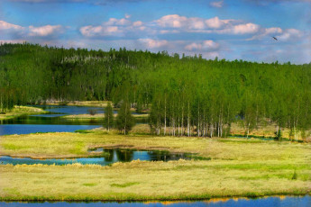 Картинка природа реки озера лес