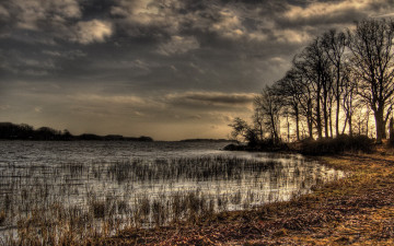 Картинка природа реки озера озеро деревья трава тучи сумрак