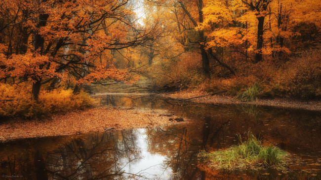 Обои картинки фото природа, реки, озера, осень, река, лес, краски