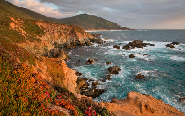 Обои картинки фото stunning, view, природа, побережье, обрыв, гскалы, берег, океан, цветы, трава