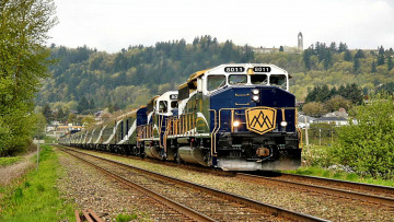 Картинка техника поезда лес железная дорога пути грузовой состав