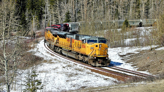 Обои картинки фото техника, поезда, лес, железная, дорога, грузовой, состав
