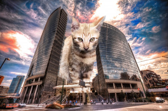 Картинка monster+cat+in+milan разное компьютерный+дизайн кот город