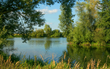 Картинка природа реки озера германия деревья кусты зелень лето солнце трава gunzenhausen река