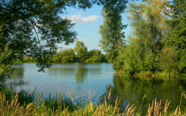 Обои картинки фото природа, реки, озера, германия, деревья, кусты, зелень, лето, солнце, трава, gunzenhausen, река