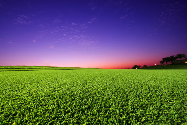 Обои картинки фото природа, поля, поле, закат, небо, зелень