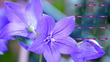 Картинка календари цветы бутон