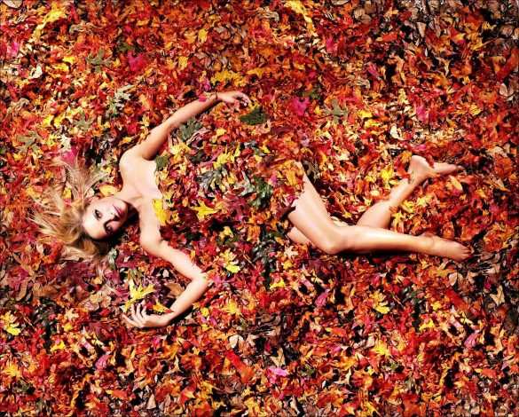 Обои картинки фото девушки, sarah michelle gellar, сара, мишель, геллар, актриса, осень, листья, блондинка