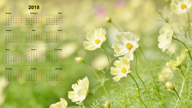 Обои картинки фото календари, цветы, лепестки