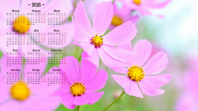 Обои картинки фото календари, цветы, розовый, цвет