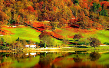 Картинка природа пейзажи осень