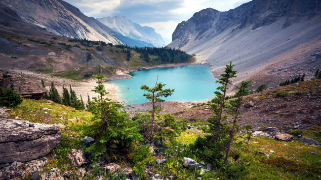 Обои картинки фото galatea lake, alberta, природа, реки, озера, galatea, lake