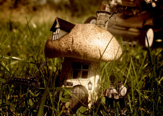 Картинка разное компьютерный дизайн гусеница паб старики гриб