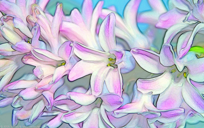 Обои картинки фото 3д, графика, flowers, цветы, светлый