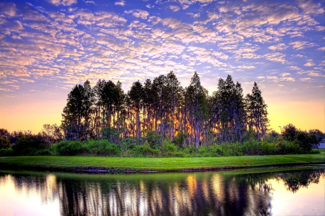 Обои картинки фото природа, деревья, облака, закат, вода, трава