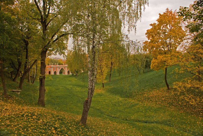 Обои картинки фото природа, парк, деревья, трава, небо, мост, желтые, листья