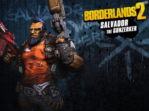 Картинка borderland видео игры borderlands 2