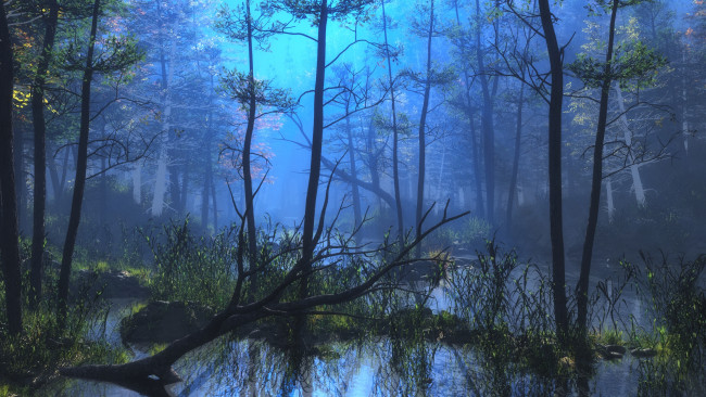 Обои картинки фото 3д графика, природа , nature, лес, деревья, вода